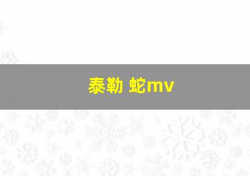 泰勒 蛇mv